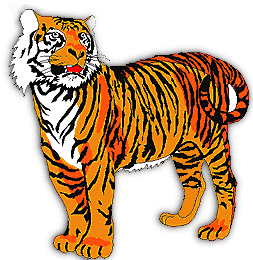 tiger3.GIF (27915 bytes)